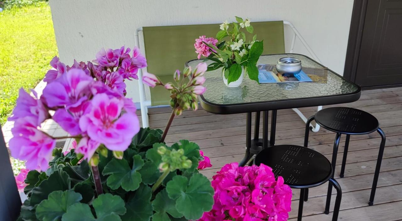 Lapegle Otel Alūksne Dış mekan fotoğraf